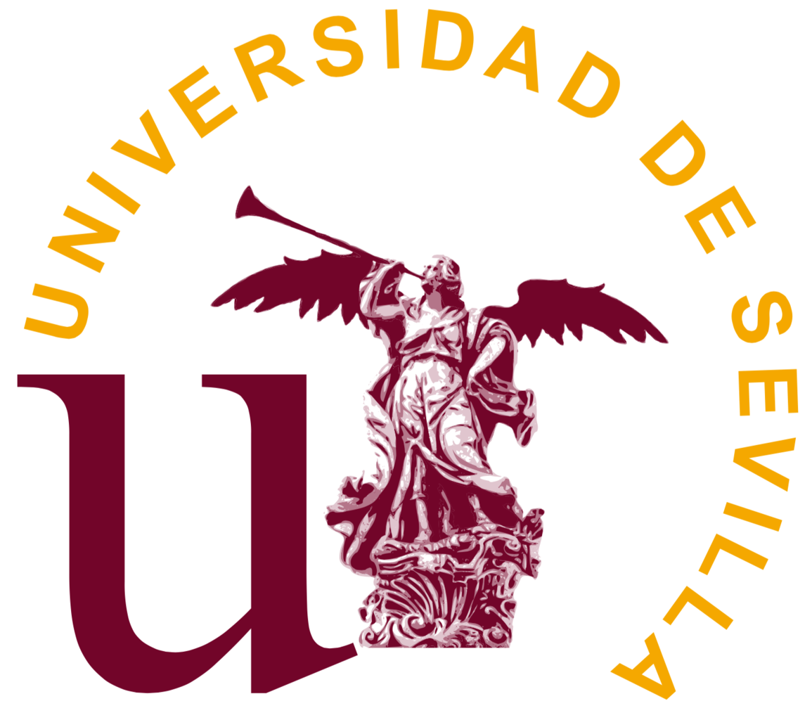 Programa de voluntariado internacional en línea