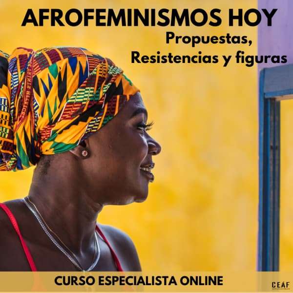 Afrofeminismos hoy. Propuestas, resistencias y figuras