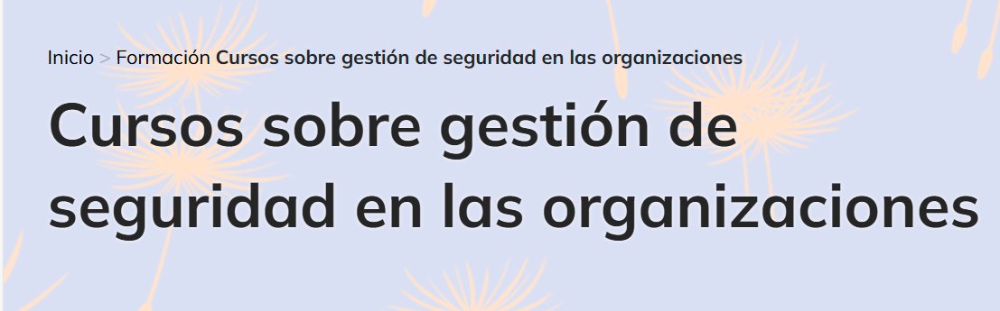 Cursos sobre gestión de seguridad en las organizaciones