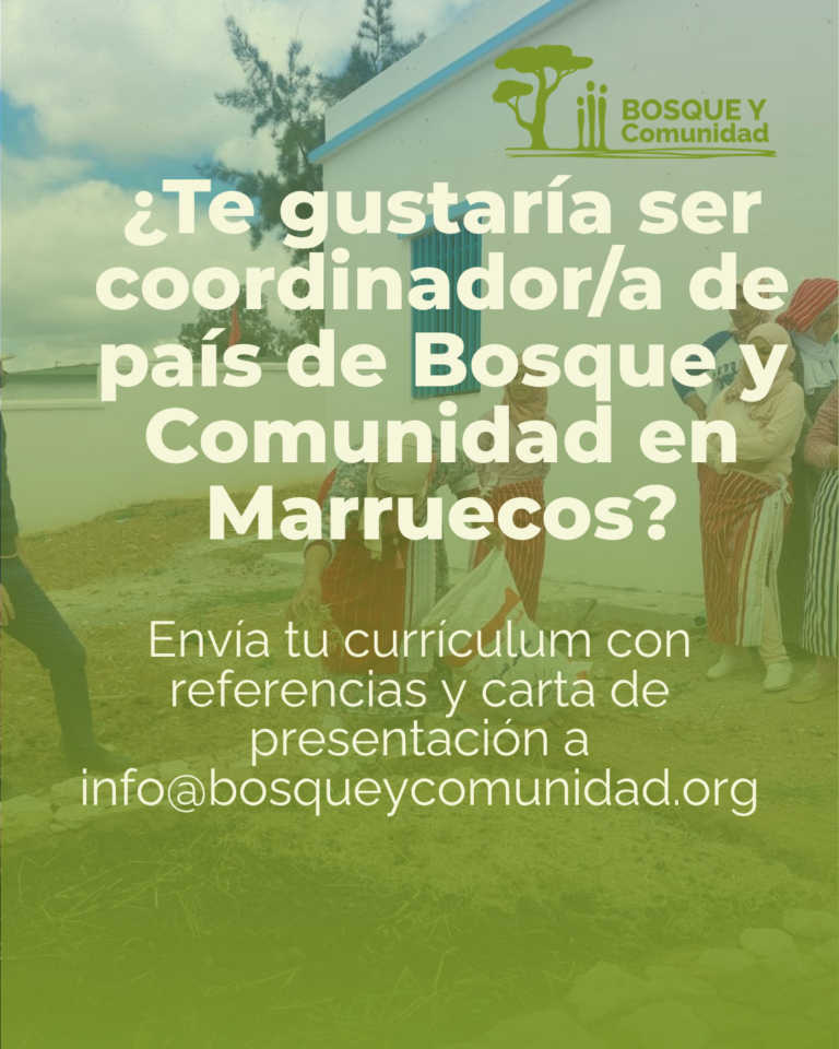 coordinador